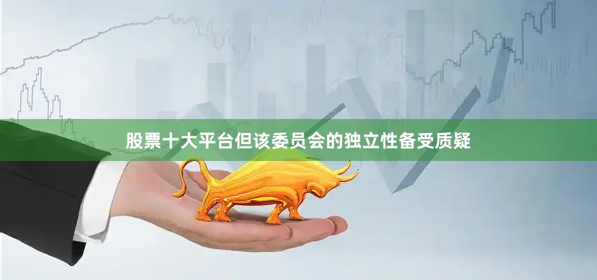 股票十大平台但该委员会的独立性备受质疑