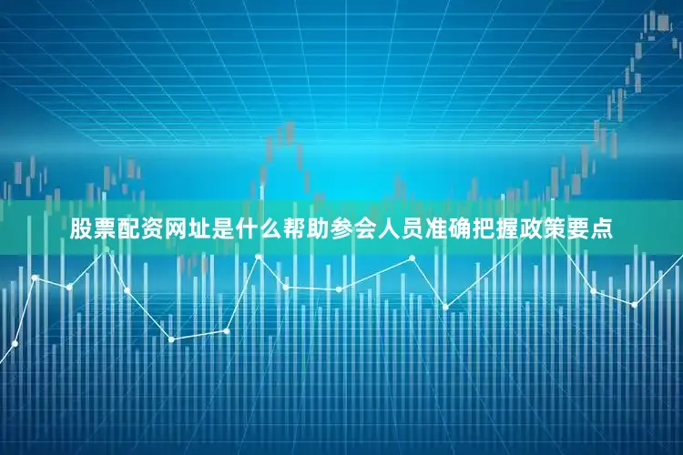 股票配资网址是什么帮助参会人员准确把握政策要点