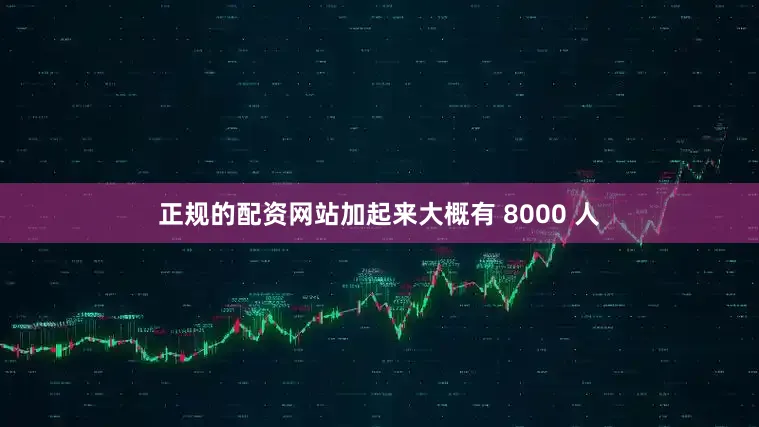 正规的配资网站加起来大概有 8000 人