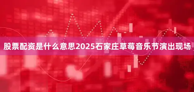 股票配资是什么意思2025石家庄草莓音乐节演出现场