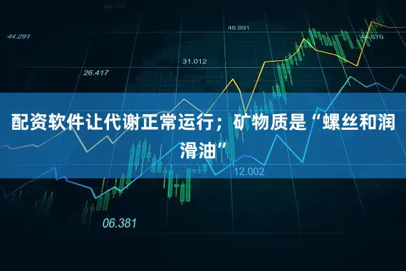 配资软件让代谢正常运行；矿物质是“螺丝和润滑油”